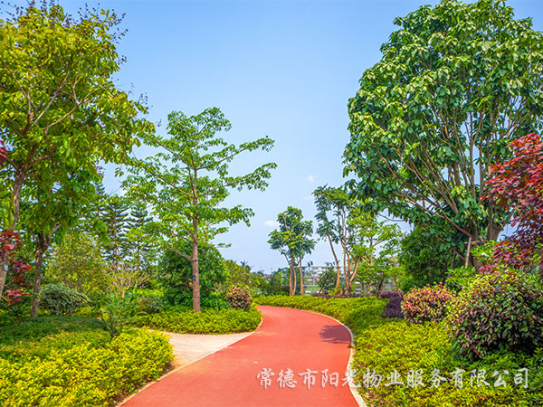 綠化養(yǎng)護 綠化養(yǎng)護
