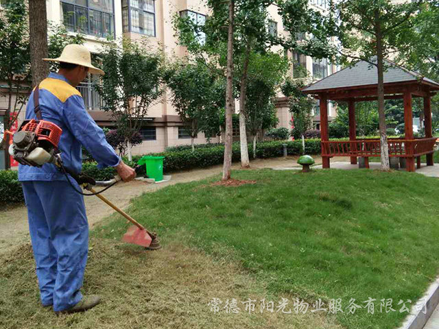 綠化養(yǎng)護 綠化養(yǎng)護